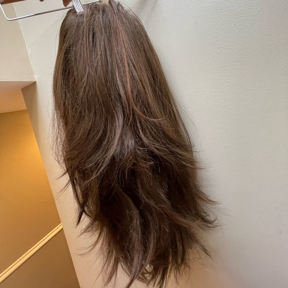 2 Styles in 1!! High-quality Louis Ferre hair extension!